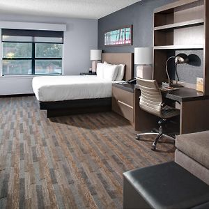 King Studio Suite